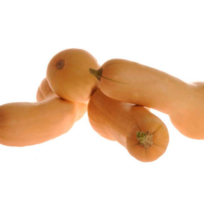 Семена Тыква Ультра F1, 500 шт, HOLLAR
Семена Тыква Ультра F1, 500 шт, HOLLAR