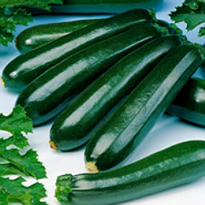 Семена Кабачок Сальвадор, 100 гр, EZ
Семена Кабачок Сальвадор, 100 гр, EZ