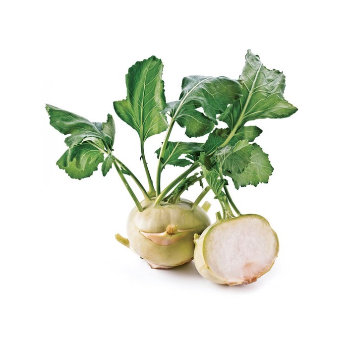 Семена Кольраби Едер РЗ F1, 1 000 шт, RZ
Семена Кольраби Едер РЗ F1, 1 000 шт, RZ