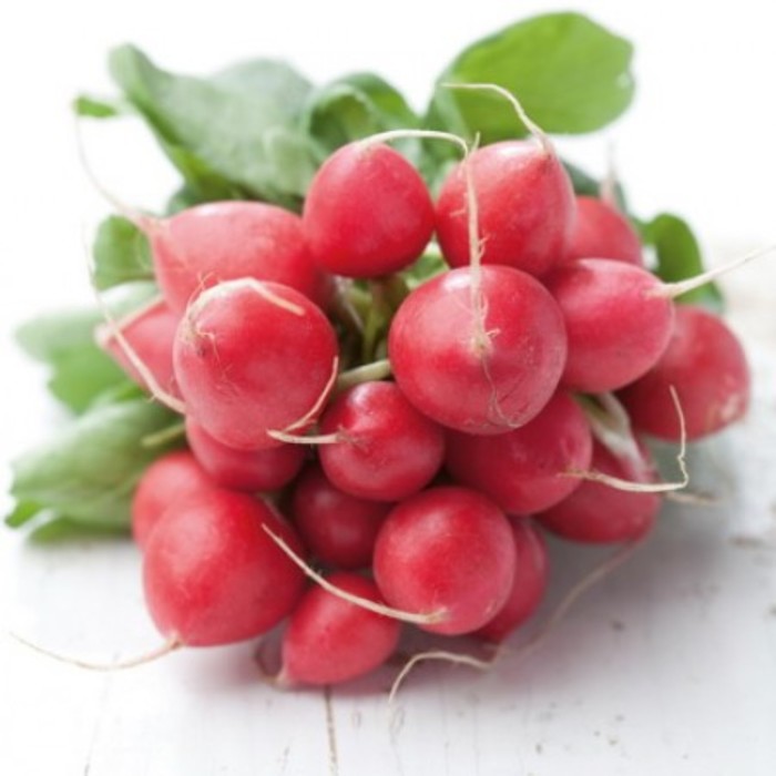 Семена Редис Рондеел, 500 гр, RZ
Семена Редис Рондеел, 500 гр, RZ