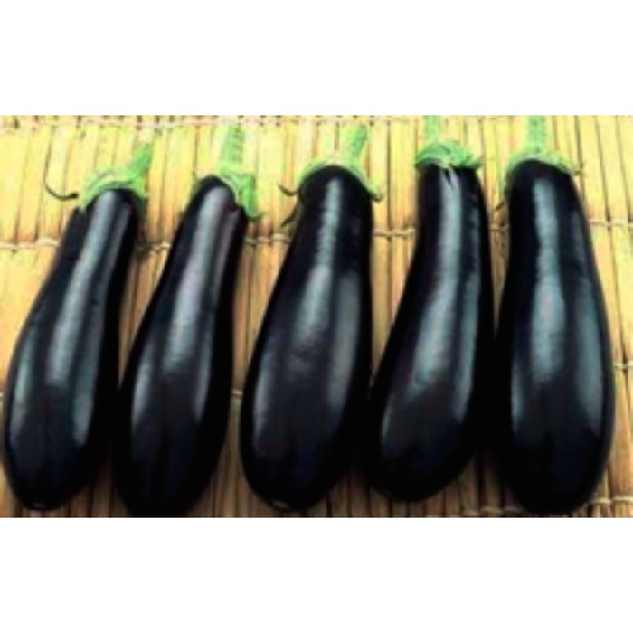 Семена Баклажан Рома F1, 1 000 шт, Sakata
Семена Баклажан Рома F1, 1 000 шт, Sakata