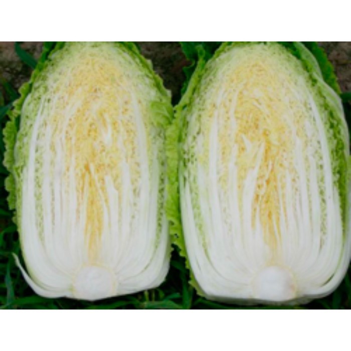 Семена Капуста пек Юки F1, 1 000 шт, Sakata
Семена Капуста пек Юки F1, 1 000 шт, Sakata