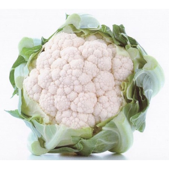 Семена Капуста цв. Кашмир F1, 1 000 шт, Sakata
Семена Капуста цв. Кашмир F1, 1 000 шт, Sakata