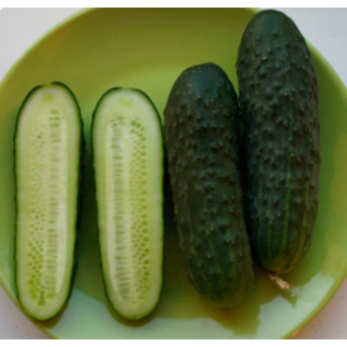 Семена Огурец Мария F1, 1 000 шт, Sakata (Монолит)
Семена Огурец Мария F1, 1 000 шт, Sakata (Монолит)