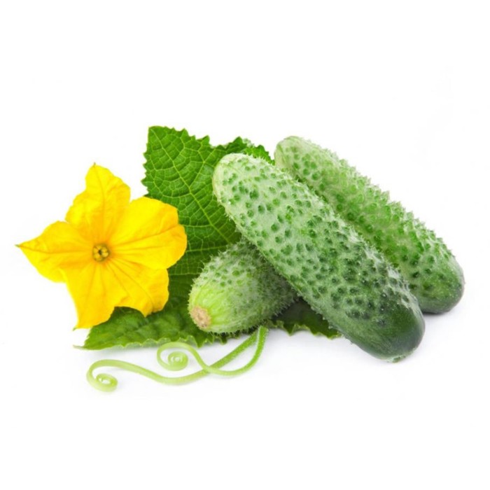 Семена Огурец Марс F1, 1 000 шт, Sakata (Доломит)
Семена Огурец Марс F1, 1 000 шт, Sakata (Доломит)