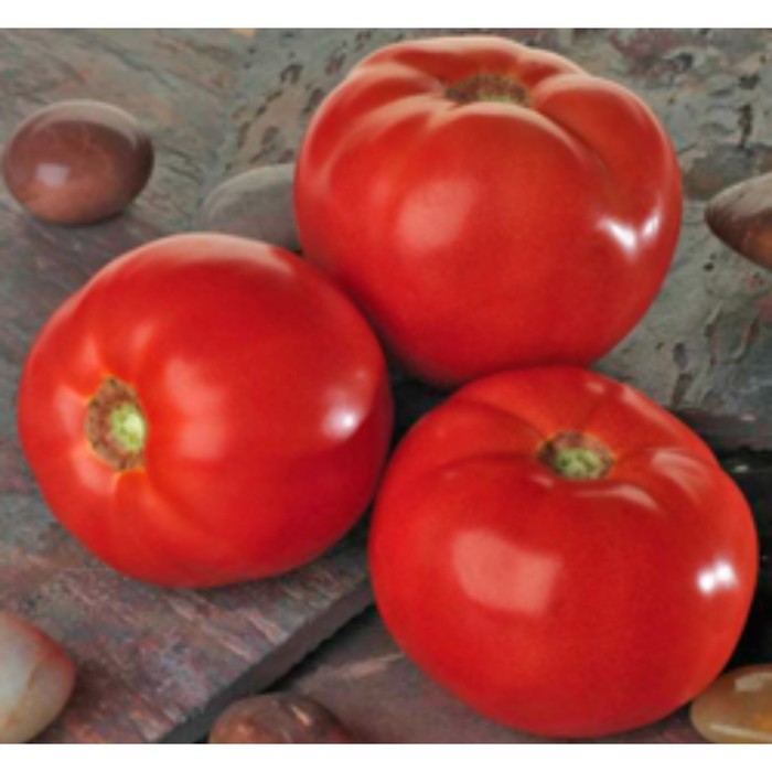 Семена Томат Бэлла Роса F1, 1 000 шт, Sakata
Семена Томат Бэлла Роса F1, 1 000 шт, Sakata