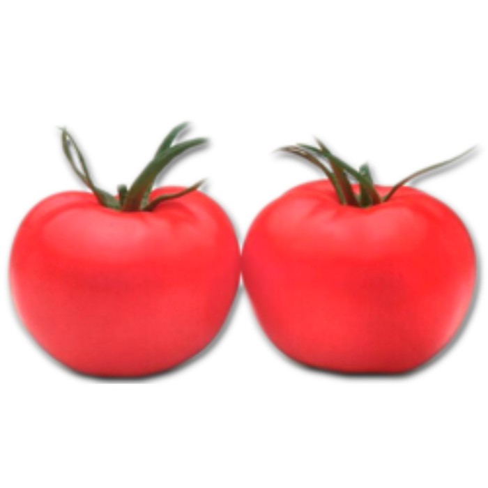 Семена Томат Пинк Парадайз F1, 500 шт, Sakata
Семена Томат Пинк Парадайз F1, 500 шт, Sakata