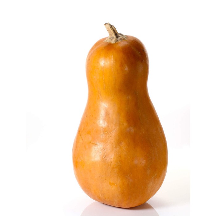 Семена Тыква Плуто F1, 1 000 шт, Sakata
Семена Тыква Плуто F1, 1 000 шт, Sakata