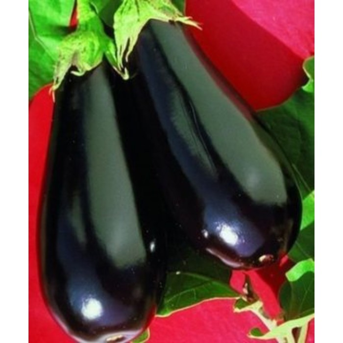 Семена Баклажан Эпик F1, 1 000 шт, RS
Семена Баклажан Эпик F1, 1 000 шт, RS