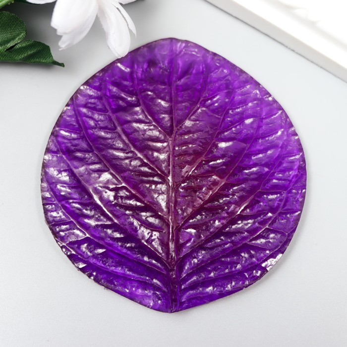 Молд пластик st-0068 "Лист розы большой" 8,5х8 см
Молд пластик st-0068 "Лист розы большой" 8,5х8 см