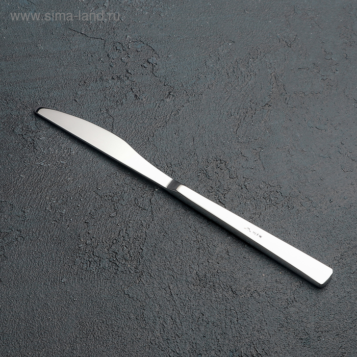 Нож столовый «Аметист»
Нож столовый «Аметист»