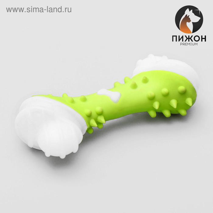 Игрушка двухслойная (твердый и мягкий пластик) "Кость", 12 см, микс цветов
Игрушка двухслойная (твердый и мягкий пластик) "Кость", 12 см, микс цветов