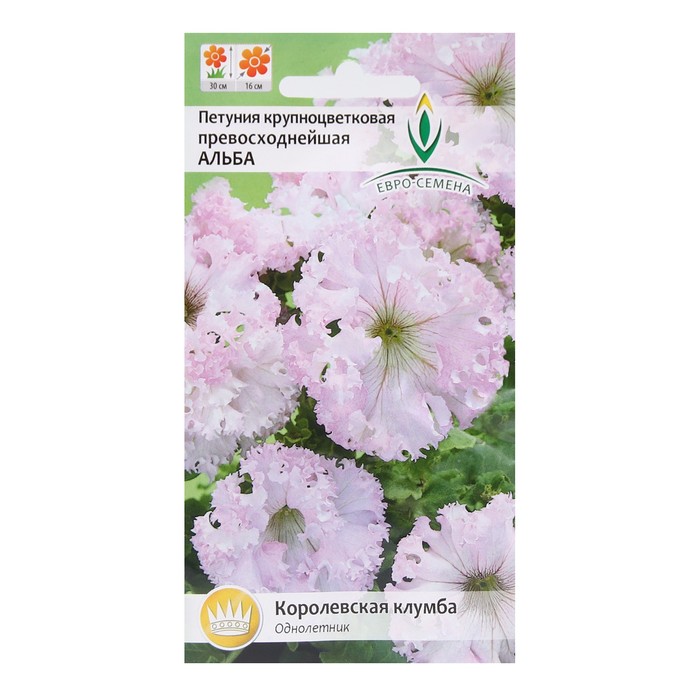 Семена цветов Петуния Превосходнейшая "Альба", крупноцветковая, О, 10 шт
Семена цветов Петуния Превосходнейшая "Альба", крупноцветковая, О, 10 шт