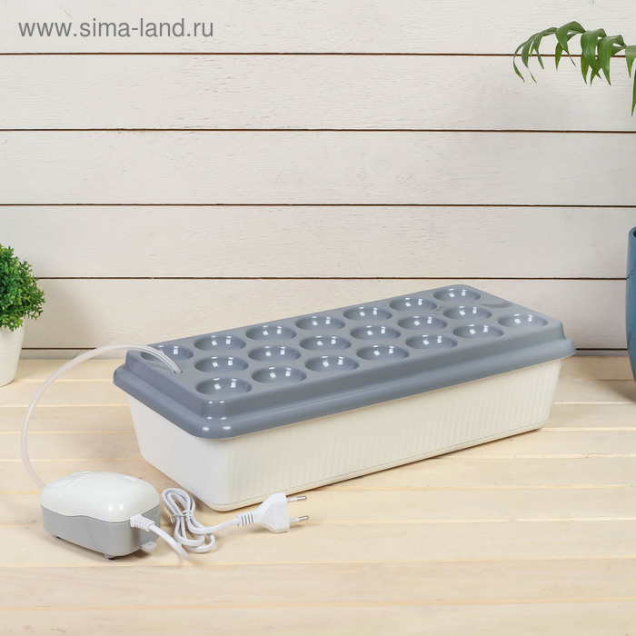 Гидропонная грядка, домашняя, «Луковое счастье»
Гидропонная грядка, домашняя, «Луковое счастье»