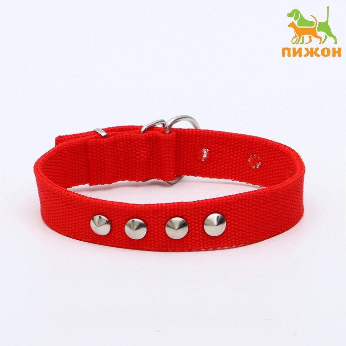Ошейник клепаный, 45 х 2,5 см, ОШ 32-40 см, полиэстер, красный
Ошейник клепаный, 45 х 2,5 см, ОШ 32-40 см, полиэстер, красный