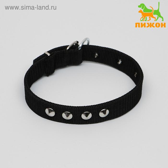 Ошейник клепаный, 45 х 2,5 см, полиэстер, чёрный
Ошейник клепаный, 45 х 2,5 см, полиэстер, чёрный