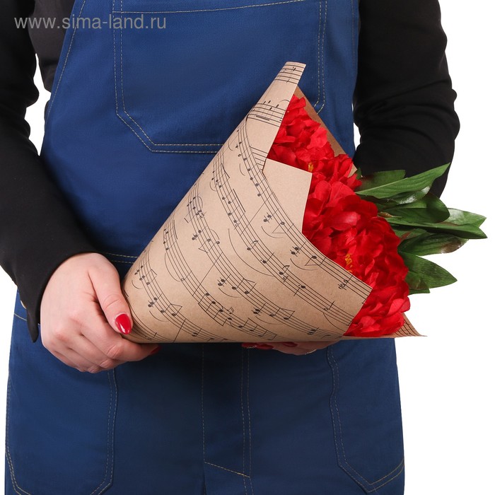 Бумага крафт «Ноты», 50 х 70 см
Бумага крафт «Ноты», 50 х 70 см