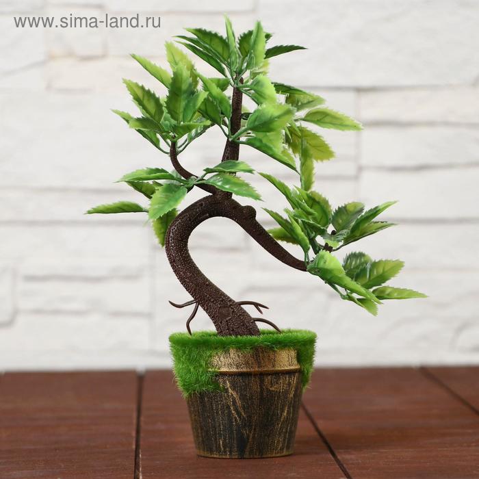 Бонсай в горшке "Осенний" 7x20 см, микс 
Бонсай в горшке "Осенний" 7x20 см, микс