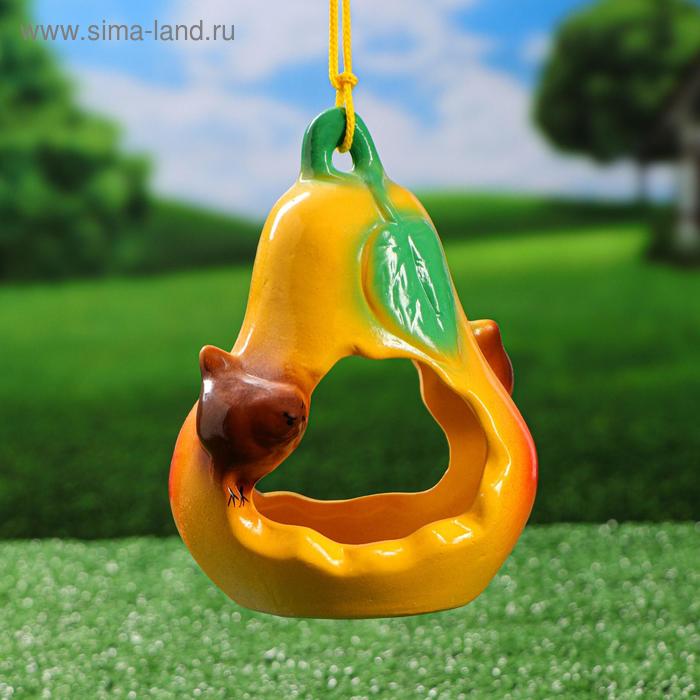 Кормушка "Груша", оранжевый, 20 см
Кормушка "Груша", оранжевый, 20 см