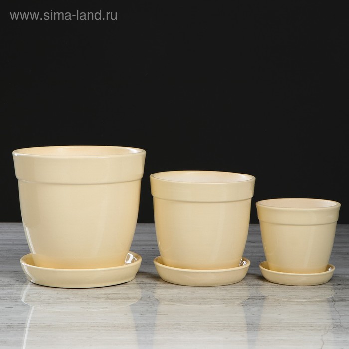 Набор горшков для цветов "Глория" кремовый, 0,5 л, 1 л, 2 л
Набор горшков для цветов "Глория" кремовый, 0,5 л, 1 л, 2 л