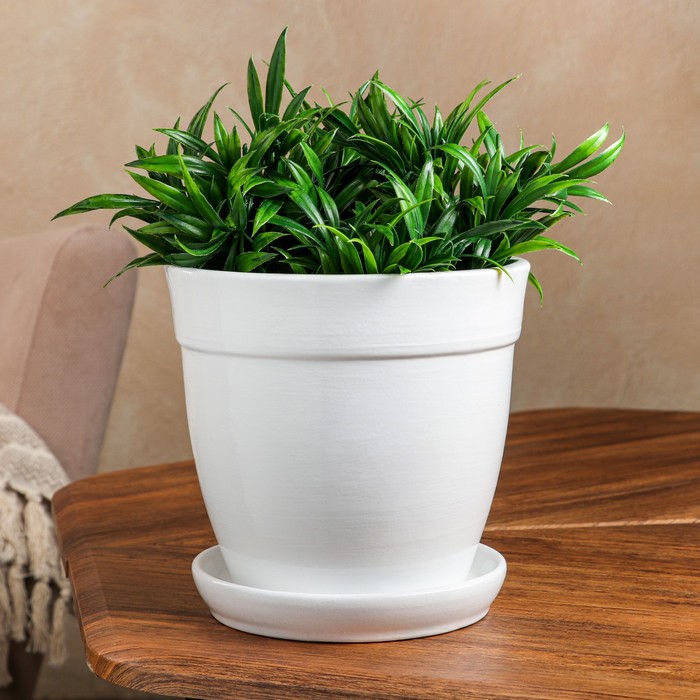 Горшок для цветов "Глория", глянец, белый, керамика, 2 л
Горшок для цветов "Глория", глянец, белый, керамика, 2 л