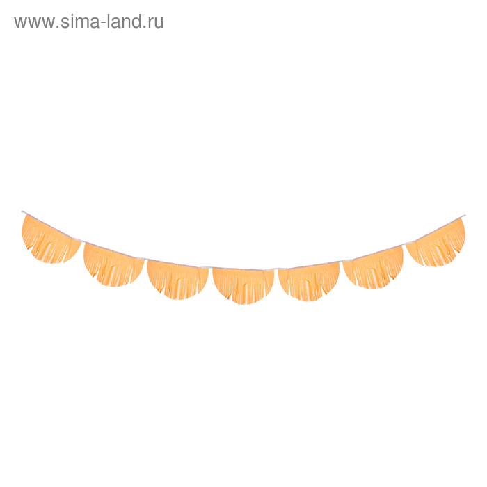 Гирлянда-тассел «Полукруг», 3 м, цвет оранжевый
Гирлянда-тассел «Полукруг», 3 м, цвет оранжевый