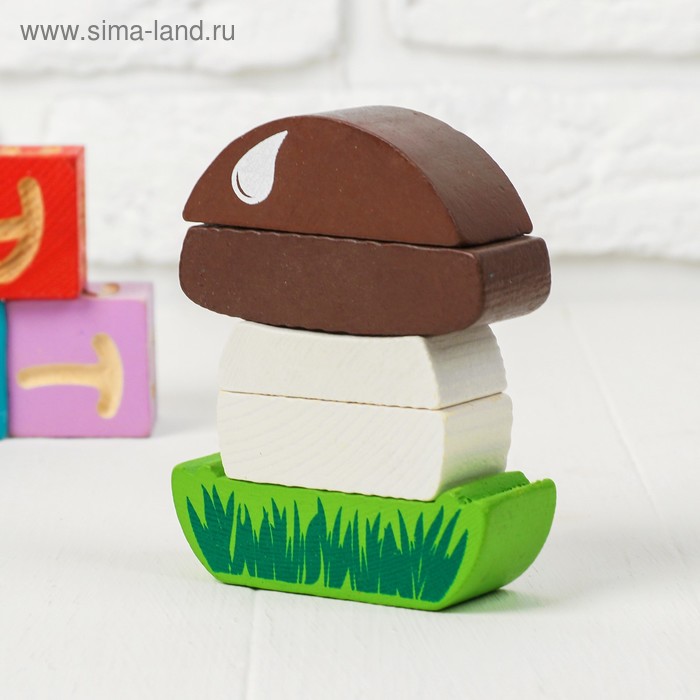 Деревянная пирамидка безосевая «Грибок» Томик
Деревянная пирамидка безосевая «Грибок» Томик