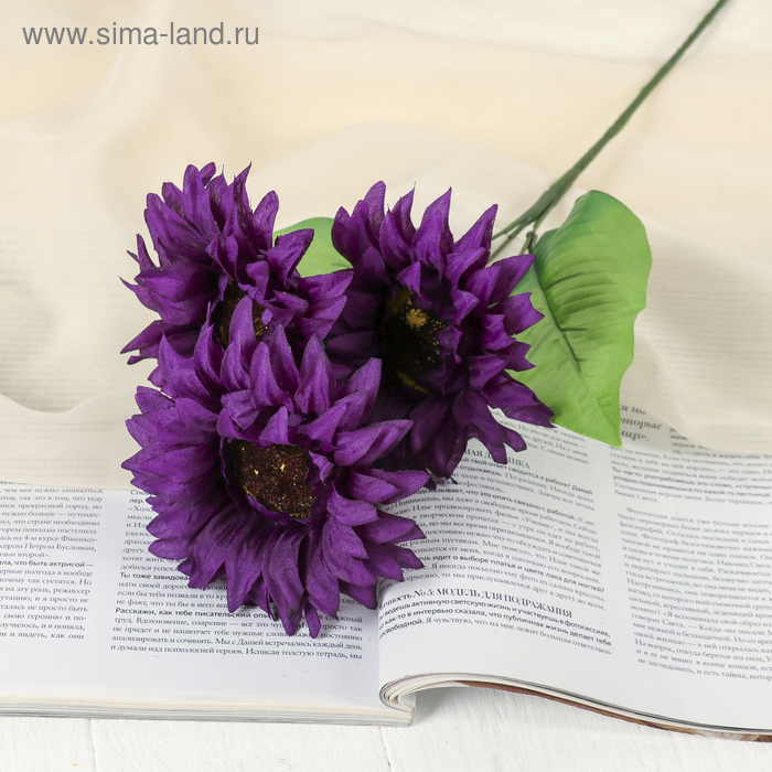 Цветы искусственные "Астры" три бутона 10*55 см, фиолетовый
Цветы искусственные "Астры" три бутона 10*55 см, фиолетовый