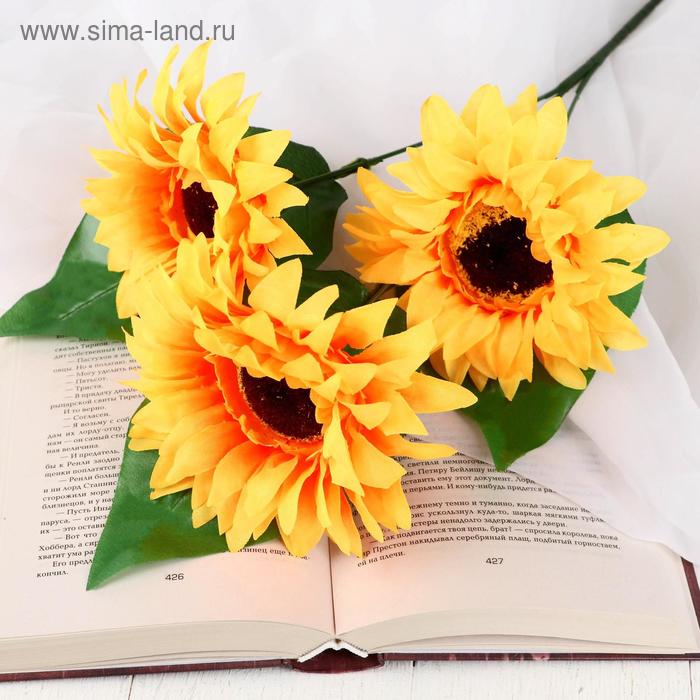 Цветы искусственные "Астры" три бутона 10*55 см, жёлтый
Цветы искусственные "Астры" три бутона 10*55 см, жёлтый