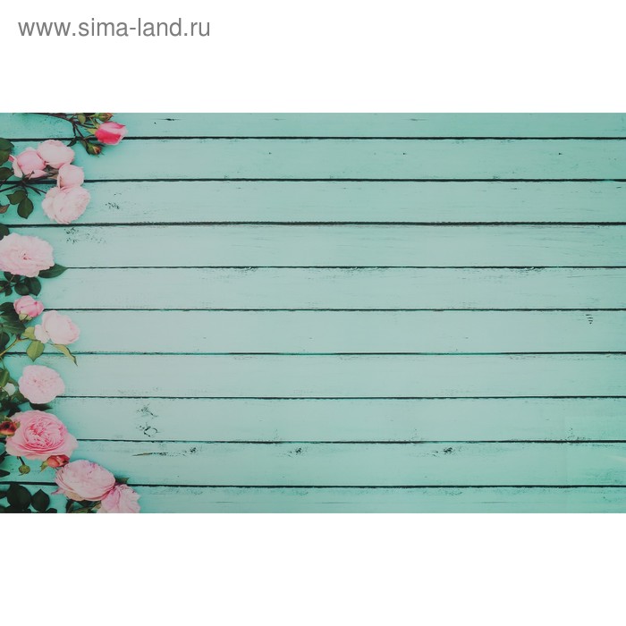 Фотофон винил "Бирюзовые доски с розами" 80х125 см
Фотофон винил "Бирюзовые доски с розами" 80х125 см