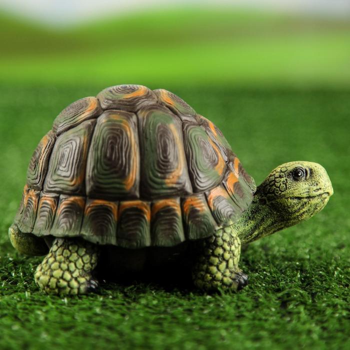 Садовая фигура "Черепаха", полистоун, 9х16х11 см 
Садовая фигура "Черепаха", полистоун, 9х16х11 см