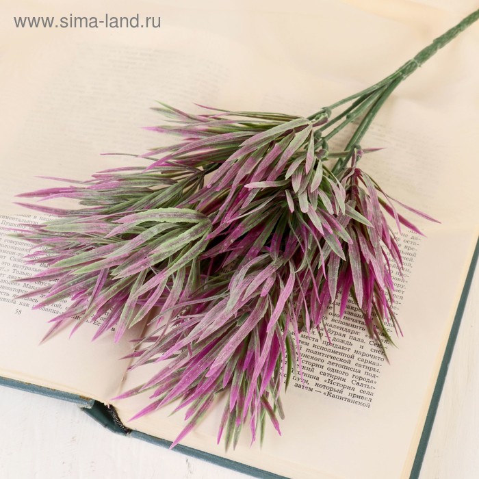 Букет "Зонтики" 30 см, микс
Букет "Зонтики" 30 см, микс