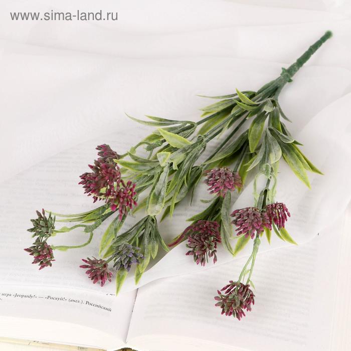 Букет "Зонтики в цвете" 30 см, микс
Букет "Зонтики в цвете" 30 см, микс