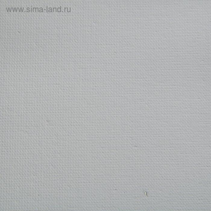 Холст на картоне 30 х 40 см, хлопок 100%, 3.0 мм, акриловый грунт, мелкозернистый, ЗХК "Мастер Класс", светло-серый
Холст на картоне 30 х 40 см, хлопок 100%, 3.0 мм, акриловый грунт, мелкозернистый, ЗХК "Мастер Класс", светло-серый