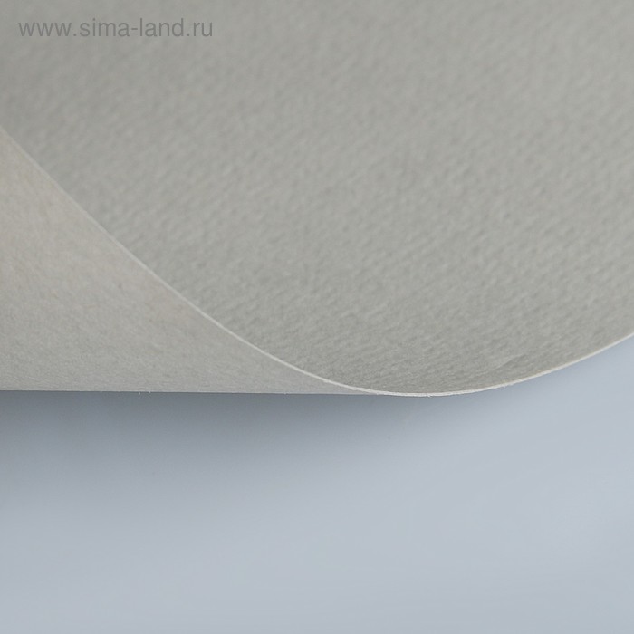 Бумага для пастели 210 х 297 мм, ХЛОПОК 45%, Lana Colours, 160 г/м², 1 лист, холодный серый, 15723159
Бумага для пастели 210 х 297 мм, ХЛОПОК 45%, Lana Colours, 160 г/м², 1 лист, холодный серый, 15723159