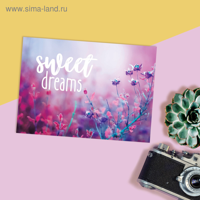 Открытка на каждый день Sweet dreams, 7,5 х 10 см 
Открытка на каждый день Sweet dreams, 7,5 х 10 см