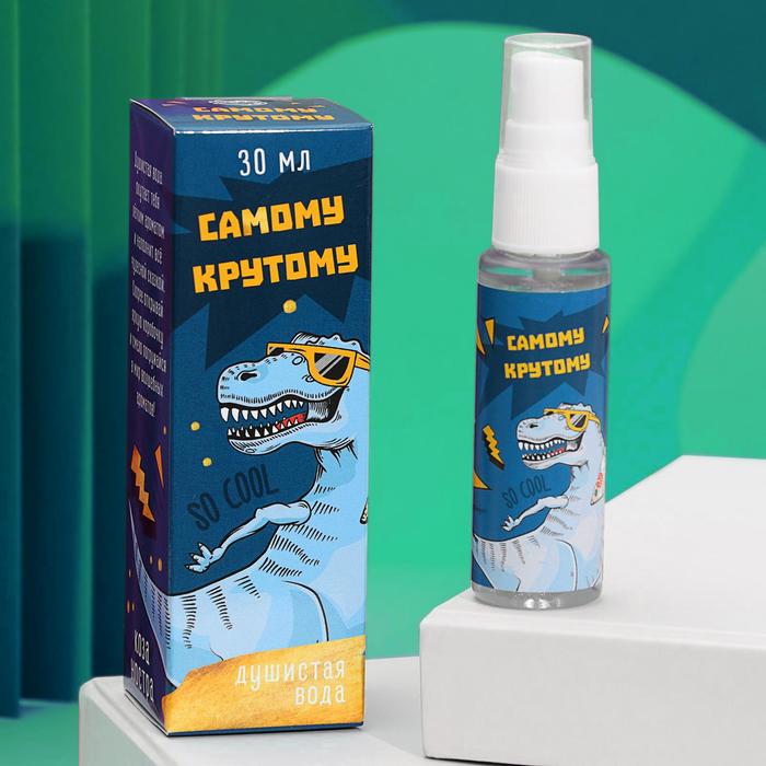 Душистая вода детская «Самому крутому», 30 мл
Душистая вода детская «Самому крутому», 30 мл