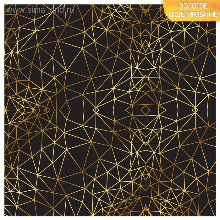 Бумага для скрапбукинга с фольгированием «Иллюзия», 10 листов, 30.5 × 30.5 см, 250 г/м
Бумага для скрапбукинга с фольгированием «Иллюзия», 10 листов, 30.5 × 30.5 см, 250 г/м