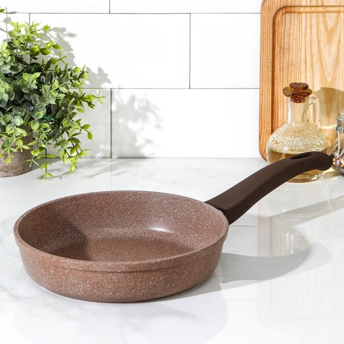 Сковорода «Алтай», d=22 см, пластиковая ручка, антипригарное покрытие, цвет коричневый 
Сковорода «Алтай», d=22 см, пластиковая ручка, антипригарное покрытие, цвет коричневый