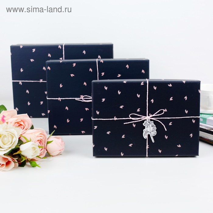 Набор коробок 3 в 1, 29 х 21 х 8,5 - 24 х 17 х 6,5 см
Набор коробок 3 в 1, 29 х 21 х 8,5 - 24 х 17 х 6,5 см