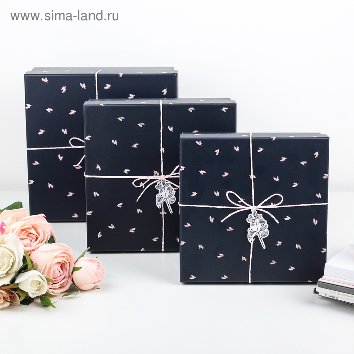 Набор коробок 3 в 1, 24 х 24 х 11 - 20 х 20 х 7 см
Набор коробок 3 в 1, 24 х 24 х 11 - 20 х 20 х 7 см