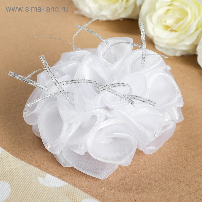 Бант для девочек с резинкой "Эустома", белый, 16 см, микс
Бант для девочек с резинкой "Эустома", белый, 16 см, микс