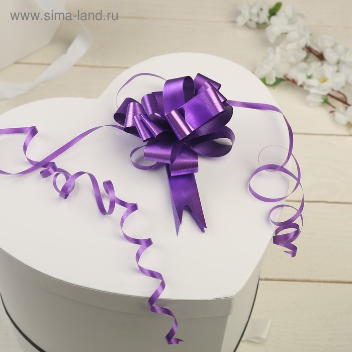 Бант-шар №1,8 простой фиолетовый
Бант-шар №1,8 простой фиолетовый