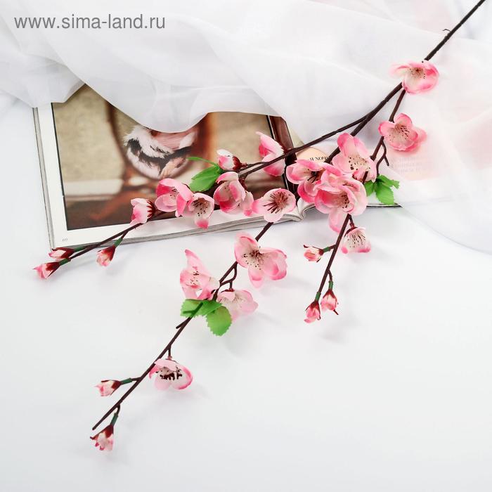 Цветы искусственные "Сакура нежность" 4*85 см, розовый
Цветы искусственные "Сакура нежность" 4*85 см, розовый