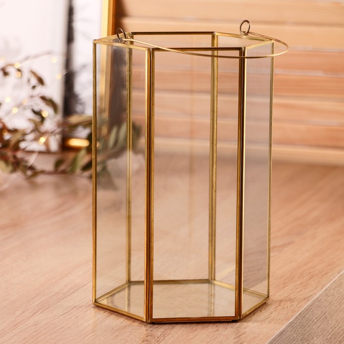 Флорариум каркас "Шестигранник" с ручкой 12*12*20 см
Флорариум каркас "Шестигранник" с ручкой 12*12*20 см