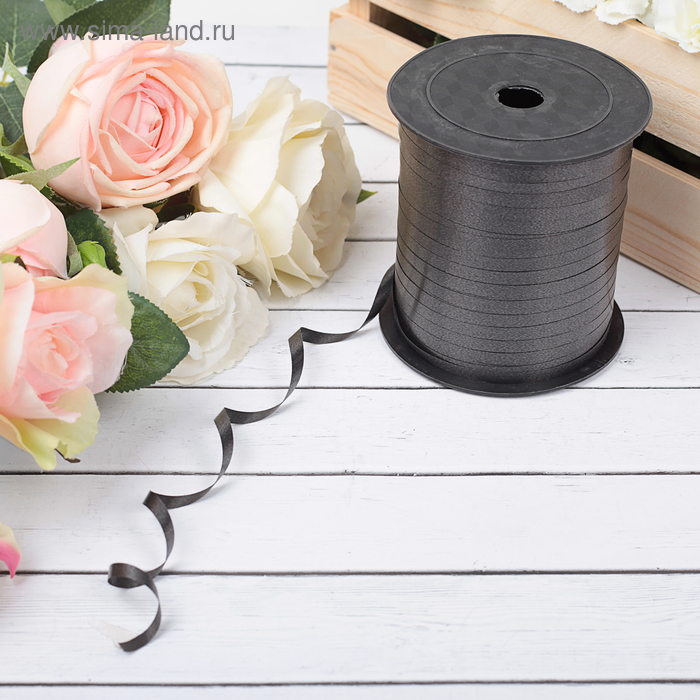 Лента простая, матовая, черная, 0,5 см х 225 м
Лента простая, матовая, черная, 0,5 см х 225 м