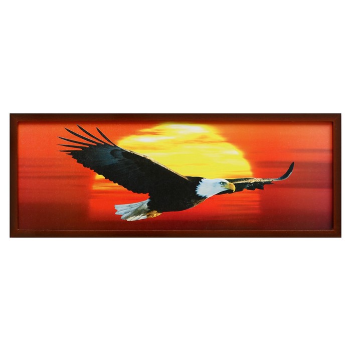 Картина " В полёте" 42*106 см
Картина " В полёте" 42*106 см