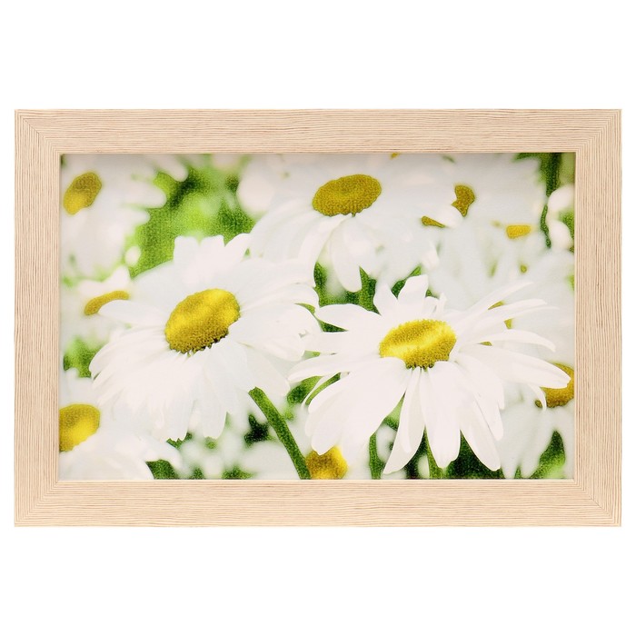 Картина "Ромашки" 27*37 см
Картина "Ромашки" 27*37 см