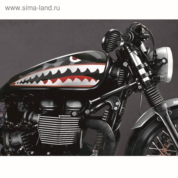 Набор наклеек на мотоцикл Shark, 2 шт
