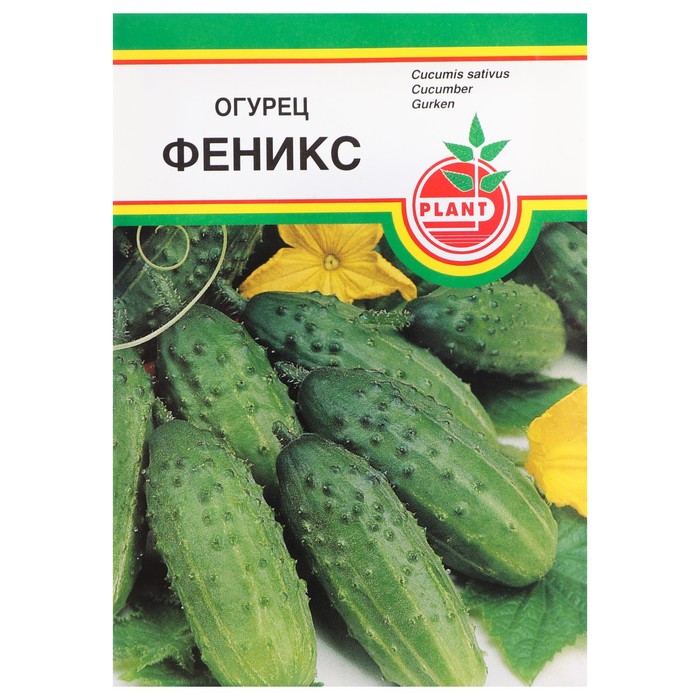 Семена Огурец "Феникс", пчёлоопыляемый, 10 шт
Семена Огурец "Феникс", пчёлоопыляемый, 10 шт